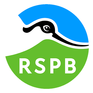 RSPB Big Garden Birdwatch