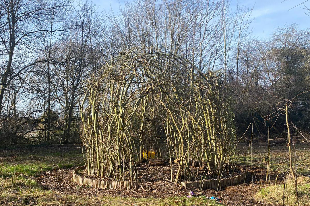 Willow dome